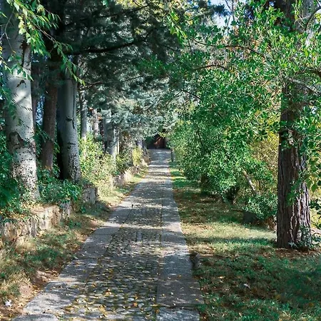 Vakantiehuis Penagorda, Casa Con Vistas En Barco De Avila *